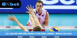 Các loại kèo phổ biến trong cá độ bóng chuyền